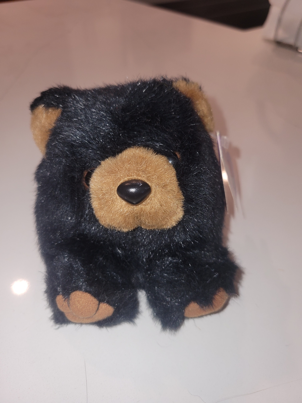 Black and Brown Plush Bear Small Pet Toy